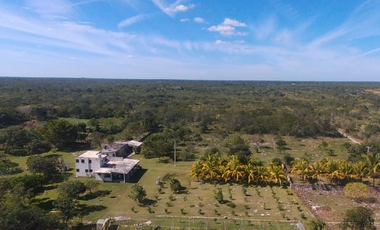 Rancho “Santa Inés” – Entre Chixculub Pueblo y Mocochá, Yucatán