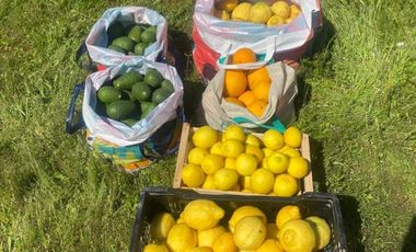 FRENTE A ROSA AGUSTINA / QUILPUE