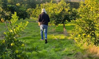 FRENTE A ROSA AGUSTINA / QUILPUE