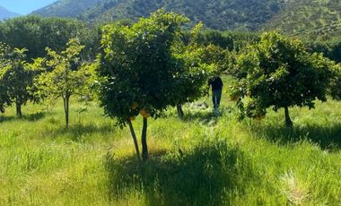 FRENTE A ROSA AGUSTINA / QUILPUE