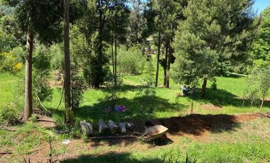 ARRIENDO CABAÑA EN SECTOR PISHUENCO VALDIVIA