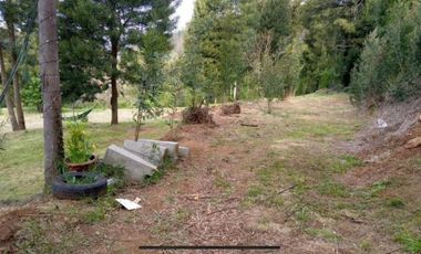 ARRIENDO CABAÑA EN SECTOR PISHUENCO VALDIVIA