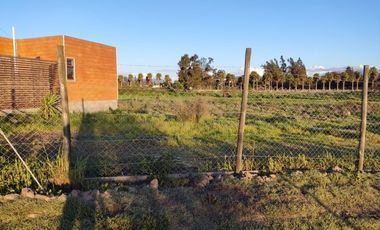 A 500 METROS DEL CAMINO A VALPARAISO, RUTA BOLLENAR