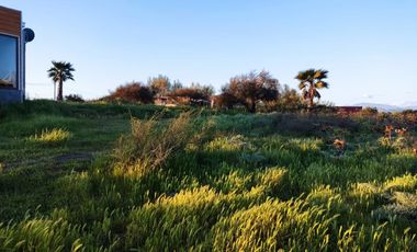 A 500 METROS DEL CAMINO A VALPARAISO, RUTA BOLLENAR