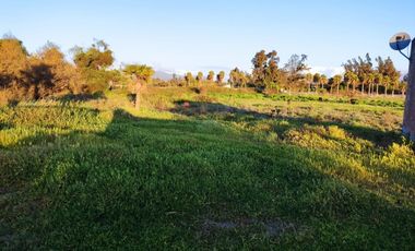 A 500 METROS DEL CAMINO A VALPARAISO, RUTA BOLLENAR