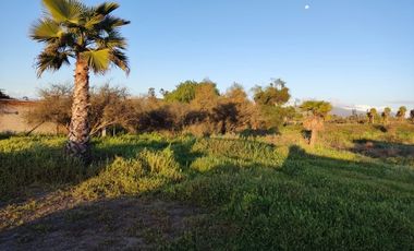 A 500 METROS DEL CAMINO A VALPARAISO, RUTA BOLLENAR