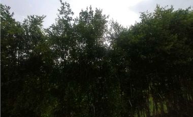 Se Arrienda Apartamento en Conjunto Verde Encanto en Armenia Quindio