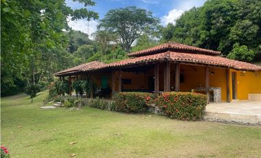 VENTA DE DE FINCA FREDONIA SUROESTE ANTIOQUEÑO.