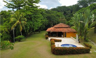 VENTA DE DE FINCA FREDONIA SUROESTE ANTIOQUEÑO.