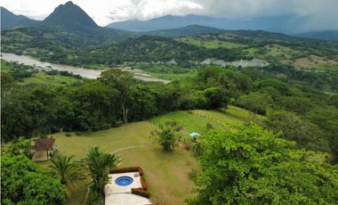 VENTA DE DE FINCA FREDONIA SUROESTE ANTIOQUEÑO.