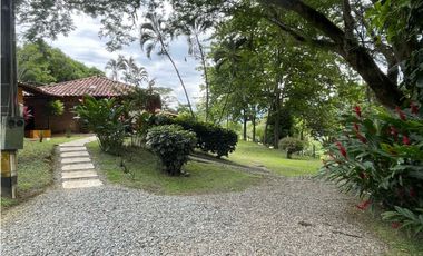 VENTA DE DE FINCA FREDONIA SUROESTE ANTIOQUEÑO.