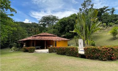 VENTA DE DE FINCA FREDONIA SUROESTE ANTIOQUEÑO.