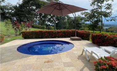 VENTA DE DE FINCA FREDONIA SUROESTE ANTIOQUEÑO.