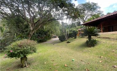 VENTA DE DE FINCA FREDONIA SUROESTE ANTIOQUEÑO.