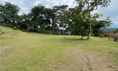 VENTA DE DE FINCA FREDONIA SUROESTE ANTIOQUEÑO.