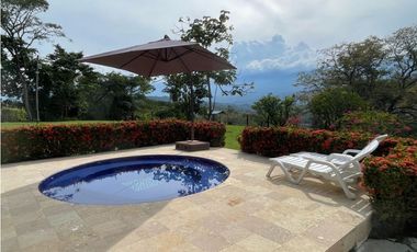 VENTA DE DE FINCA FREDONIA SUROESTE ANTIOQUEÑO.