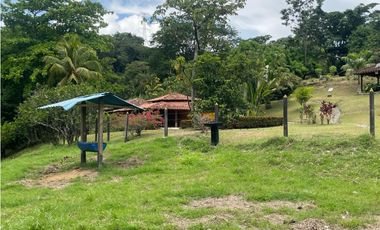 VENTA DE DE FINCA FREDONIA SUROESTE ANTIOQUEÑO.