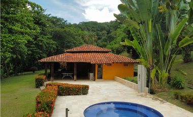 VENTA DE DE FINCA FREDONIA SUROESTE ANTIOQUEÑO.