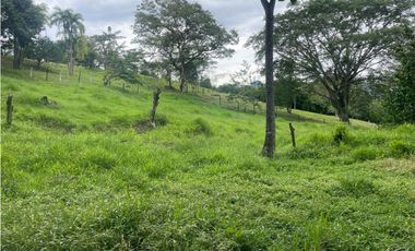 VENTA DE DE FINCA FREDONIA SUROESTE ANTIOQUEÑO.