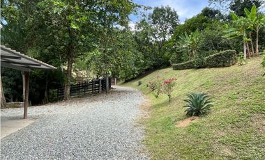 VENTA DE DE FINCA FREDONIA SUROESTE ANTIOQUEÑO.