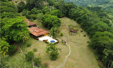 VENTA DE DE FINCA FREDONIA SUROESTE ANTIOQUEÑO.