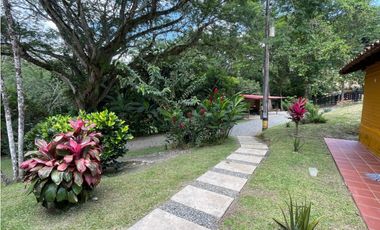 VENTA DE DE FINCA FREDONIA SUROESTE ANTIOQUEÑO.