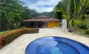 VENTA DE DE FINCA FREDONIA SUROESTE ANTIOQUEÑO.