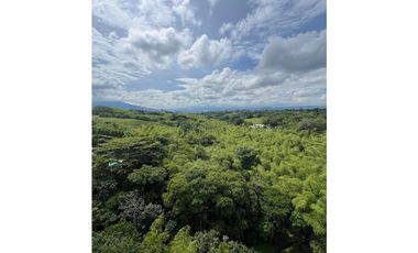 RENTA APARTAMENTO PARA ESTRENAR EN EL TIGRE CERRITOS PEREIRA