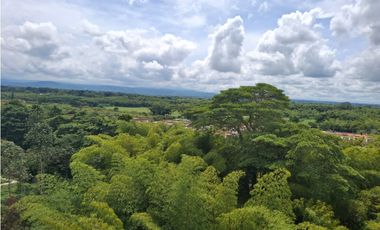 VENDO APARTAMENTO GALICIA