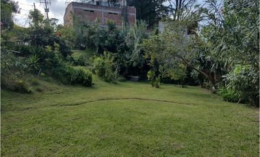 DEPARTAMENTO EN RENTA  CERCA DE SORIANA