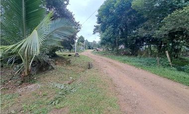 ALQUIO.CASA 2HAB 1 BAÑO 01 ENERO 2026