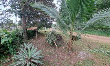 ALQUIO.CASA 2HAB 1 BAÑO 01 ENERO 2026