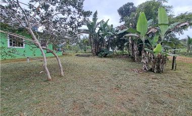 ALQUIO.CASA 2HAB 1 BAÑO 01 ENERO 2026