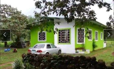 ALQUIO.CASA 2HAB 1 BAÑO 01 ENERO 2026