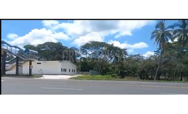 Se Vende Finca con Amplio Frente en Carretera Divisa - Chitré