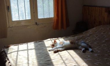 Casa quinta en venta de 700m2 ubicado en Chascomús