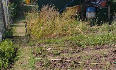 Casa quinta en venta de 700m2 ubicado en Chascomús