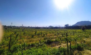 Parcela en venta  en SAN BERNARDO