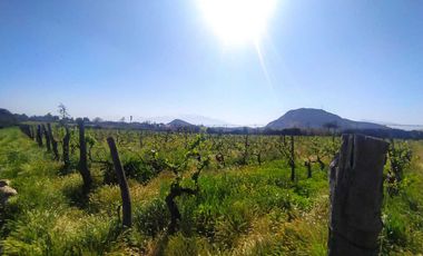 Parcela en venta  en SAN BERNARDO