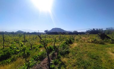 Parcela en venta  en SAN BERNARDO