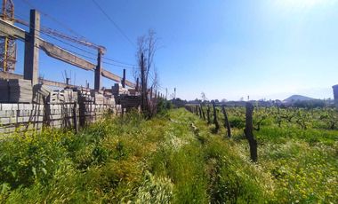 Parcela en venta  en SAN BERNARDO