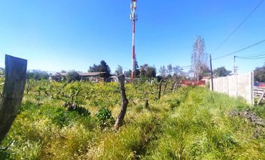 Parcela en venta  en SAN BERNARDO