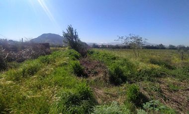 Parcela en venta  en SAN BERNARDO