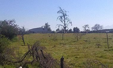 Parcela en venta  en SAN BERNARDO