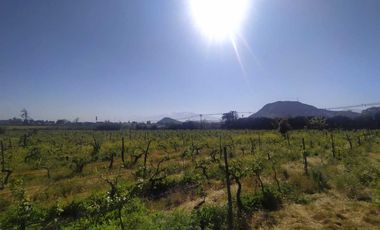 Parcela en venta  en SAN BERNARDO