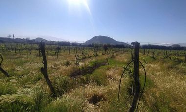 Parcela en venta  en SAN BERNARDO