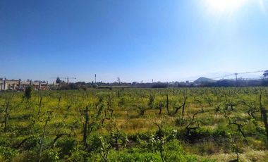 Parcela en venta  en SAN BERNARDO