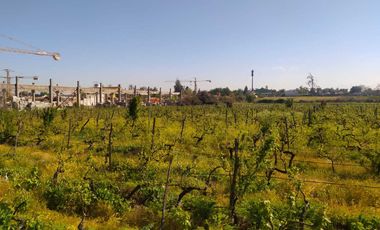 Parcela en venta  en SAN BERNARDO