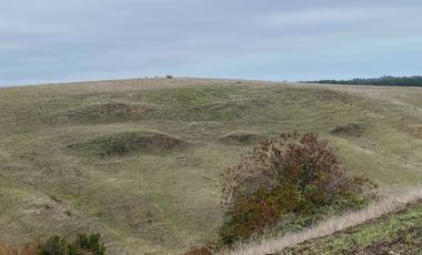 Parcela en venta en CHANCO