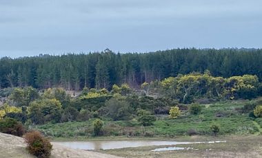 Parcela en venta en CHANCO